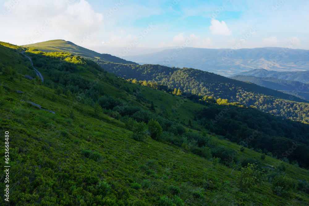 Fototapeta premium mountainous nature background. summer scenery in morning light. rolling landscape of runa mountain with grassy slopes