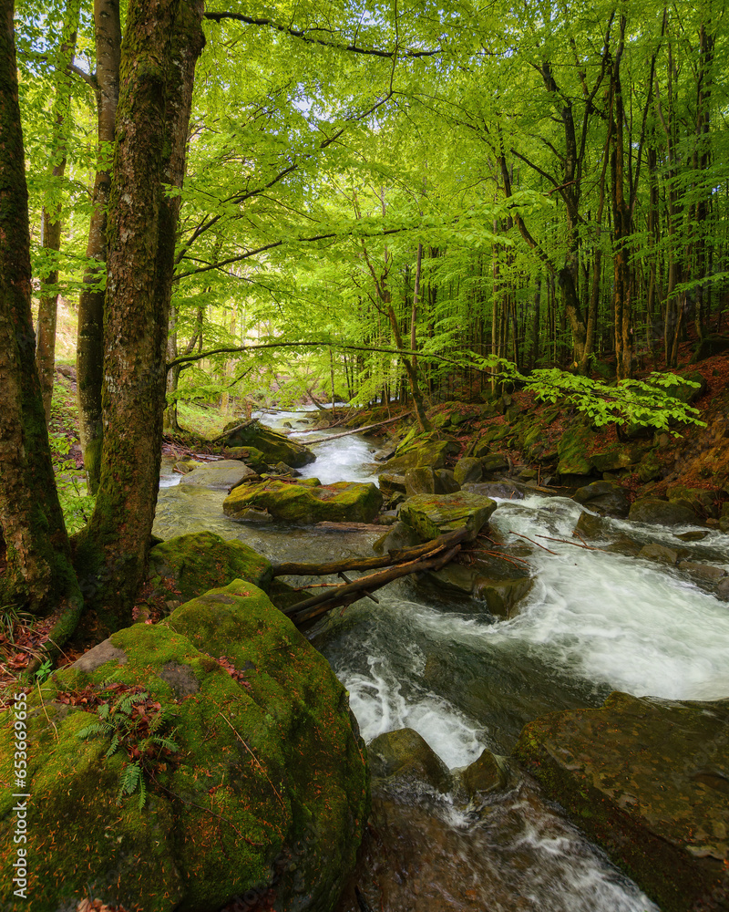 Obraz premium river in the woods among stones. outdoor nature scenery in spring