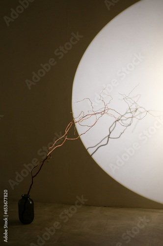 a willow branch in a vase, illuminated by a lamp
