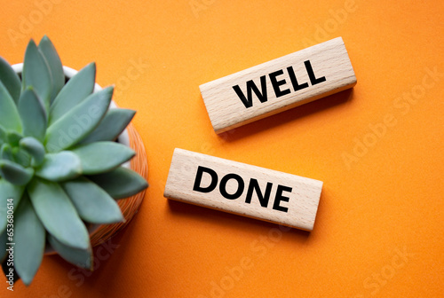Well done symbol. Wooden blocks with words Well done. Beautiful orange background with succulent plant. Business and Well done concept. Copy space.