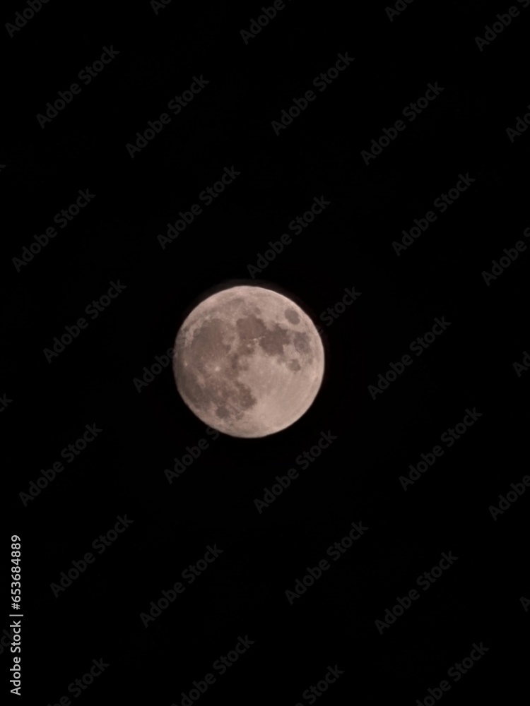 Fototapeta premium Full moon