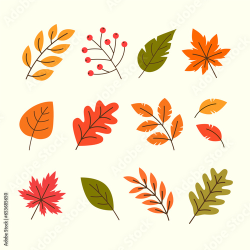 Hand drawn autumn leaves collection