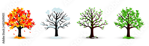 Autumn, winter, spring, summer tree collection with shadow. Seasons of tree. Four seasons trees. Cartoon tree collection