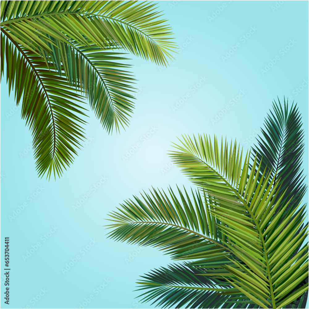 Fototapeta premium Vector illustration, coconut leaf composition.
