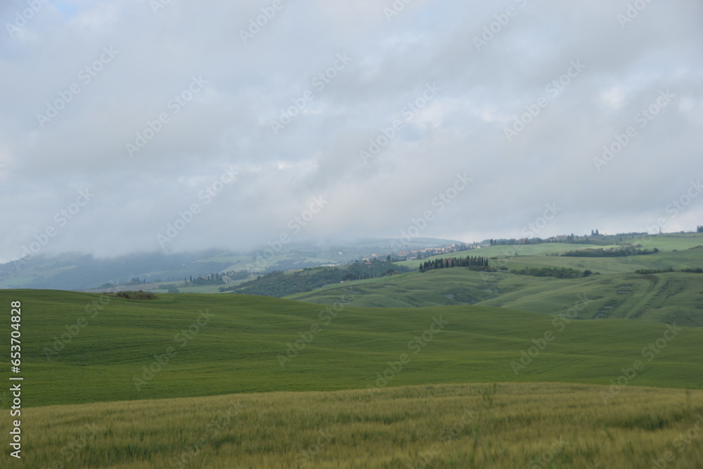 Montalcino - Italy Montalcino - Italy