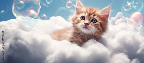 Abstract artistic concept featuring surreal animal theme and imaginative design incorporating contemporary art collage of cute cats resting on fluffy clouds with one cat floating in a bubbl photo