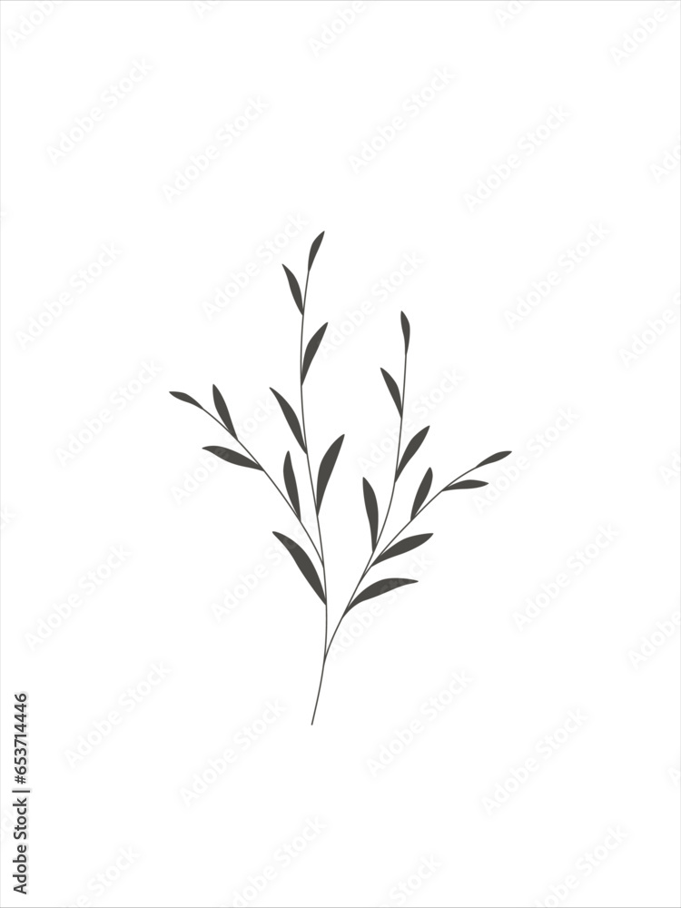 wild flower and plant line art botanical illustration. Trendy greenery hand drawn black ink sketche. Modern design for logo, wall art, branding and packaging.
