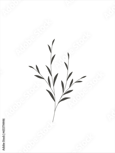 wild flower and plant line art botanical illustration. Trendy greenery hand drawn black ink sketche. Modern design for logo  wall art  branding and packaging.