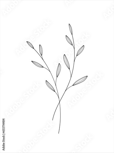 wild flower and plant line art botanical illustration. Trendy greenery hand drawn black ink sketche. Modern design for logo, wall art, branding and packaging.