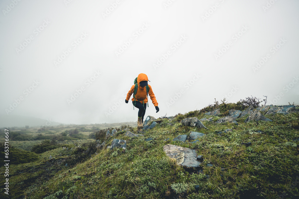 Hiking woman on high altitude mountain top