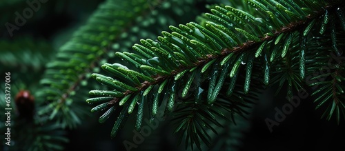 Detailed image of a holiday tree