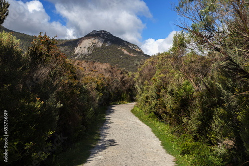 Path leaving squeaky beach, Wilsons Promontory National Park
