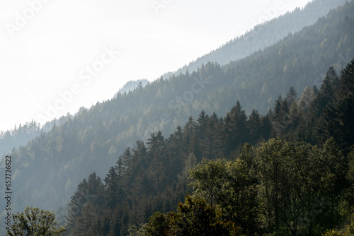Mountain range pine tree during the fog Spital Pyhrn Austria beautiful dept