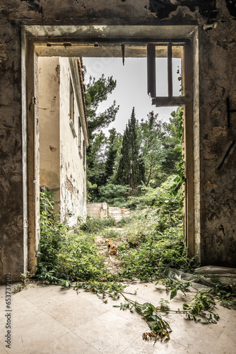 Fototapeta Naklejka Na Ścianę i Meble -  Uber in Kupari beach resort Croatia