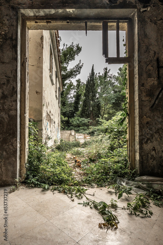 Fototapeta Naklejka Na Ścianę i Meble -  Uber in Kupari beach resort Croatia