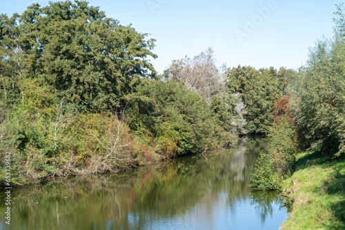 trees on the lake in autumn