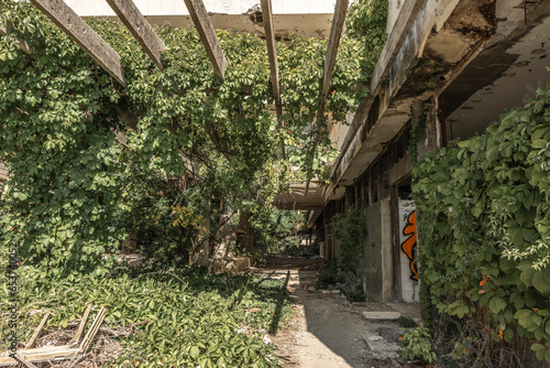 Fototapeta Naklejka Na Ścianę i Meble -  Kupari beach resort in Croatia urbexing