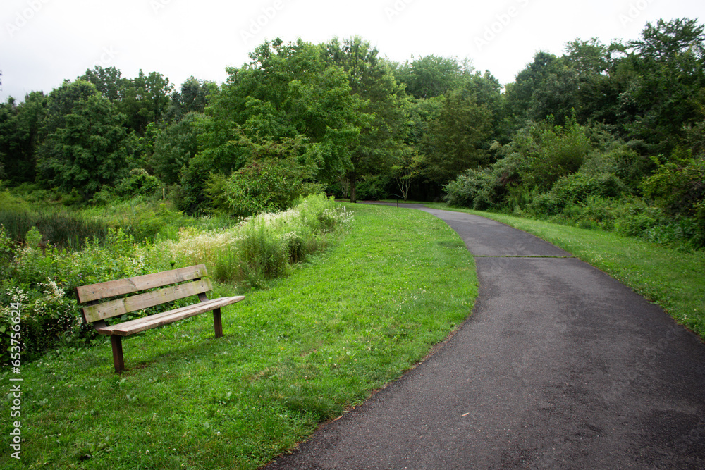 Empty bench beside to pedestrian road