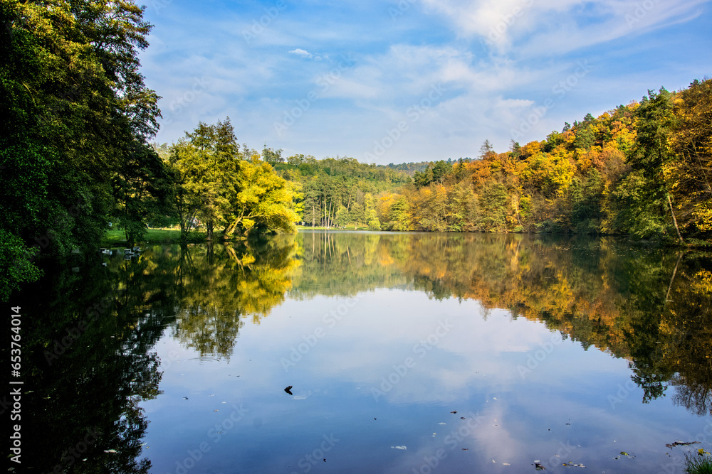 Obraz na płótnie Reservoir in Brno. A forest with autumn colored leaves reflected on the water surface. w salonie