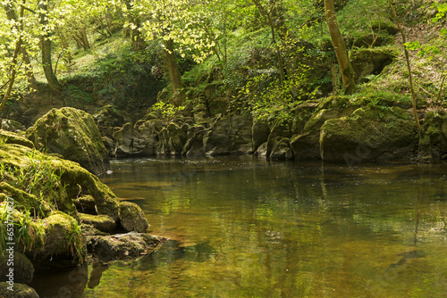 Reflections in a calm Exmoor river.