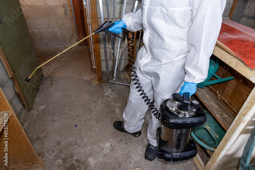 Désinsectisation de vrillettes du bois dans une cave