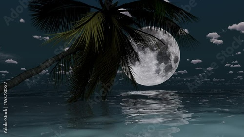 Palm tree over the sea and the moon is shining.
Travel, trip, tourism, vacation, relax.
 photo