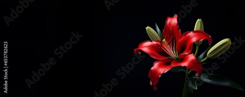 beautiful lily flower blank space, ai generative