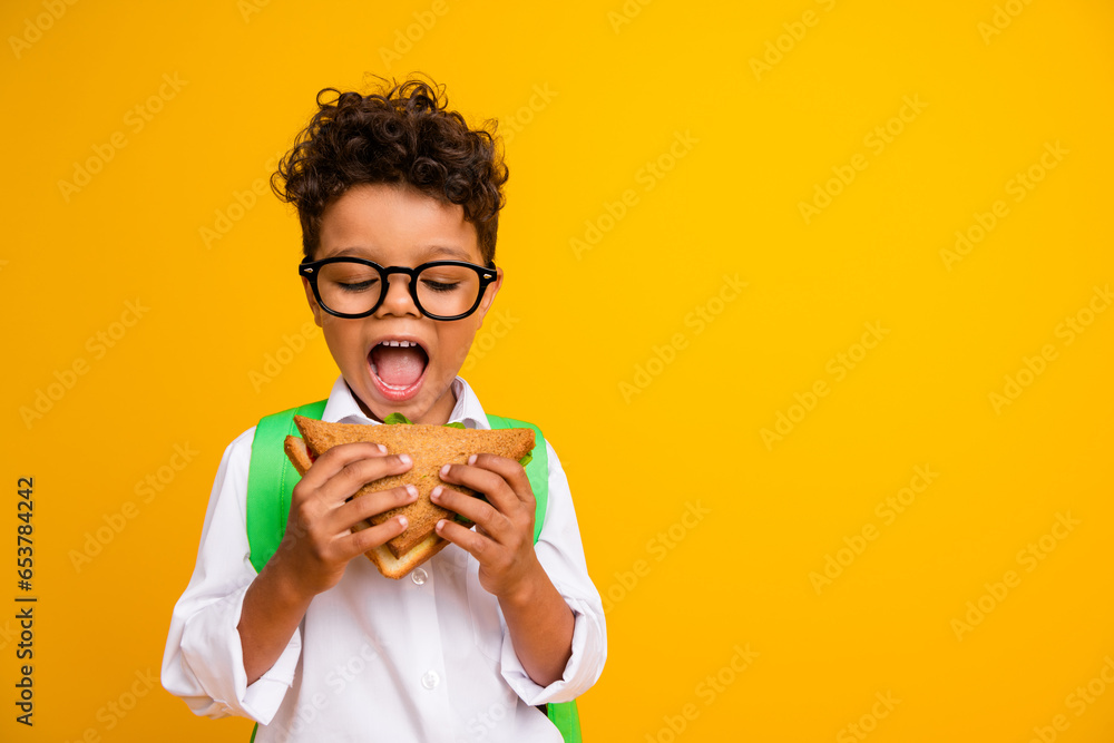 Photo of funky cute schoolkid open mouth bite eat delicious sandwich empty space isolated on yellow color background Photo of funky cute schoolkid open mouth bite eat delicious sandwich empty space isolated on yellow color background