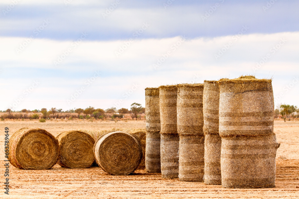 Large hay bales delivered and stacked for drought relief. Large hay bales delivered and stacked for drought relief.