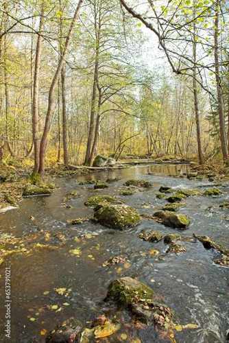 Upper Nukarinkoski rapids in autumn with leaves on the ground on the river Vantaajoki, Nukari, Nurmijärvi, Finland. photo