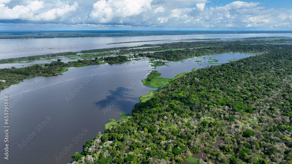 Nature aerial view of Amazon forest at Amazonas Brazil. Mangrove forest. Mangrove trees. Amazon rainforest nature landscape. Amazon igapo submerged vegetation. Floodplain forest at Amazonas Brazil.