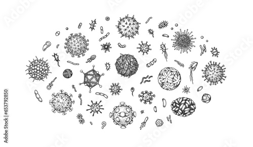 Set of engraved viruses and bacteria isolated on white background. Different types of microscopic microorganisms. Vector illustration in sketch style