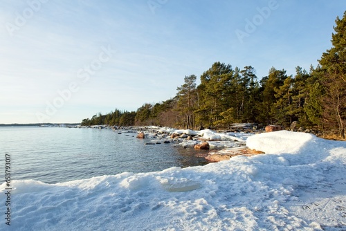 Wallpaper Mural Winter seashore with water, ice, trees and rocks, Kopparnäs, Finland. Torontodigital.ca