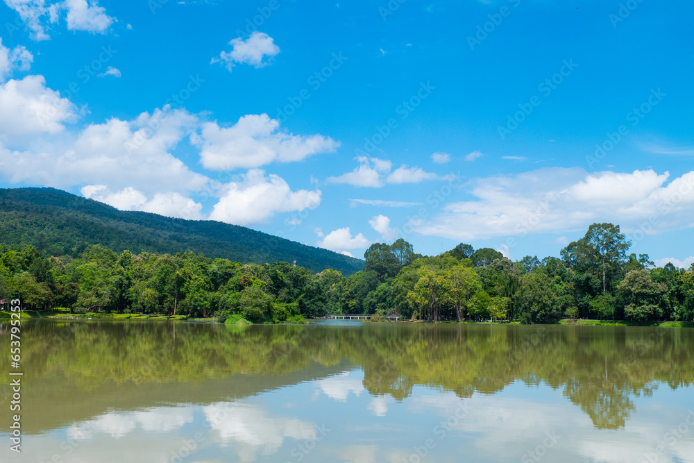 Reflection of Mountain landscape and tree in a lake. Reflection of Mountain landscape and tree in a lake.