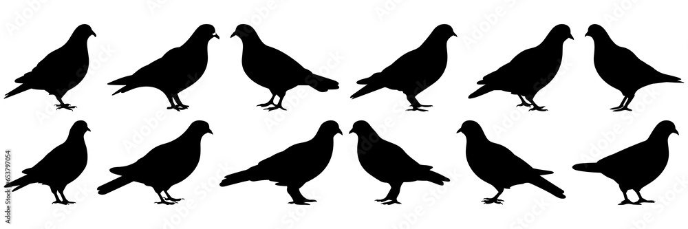 Pigeon silhouettes set, large pack of vector silhouette design, isolated white background Pigeon silhouettes set, large pack of vector silhouette design, isolated white background