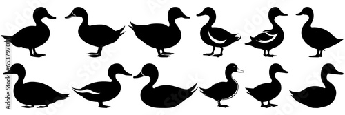 Duck goose hunting silhouettes set, large pack of vector silhouette design, isolated white background