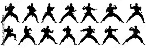 Kung fu karate taekwondo silhouettes set, large pack of vector silhouette design, isolated white background.