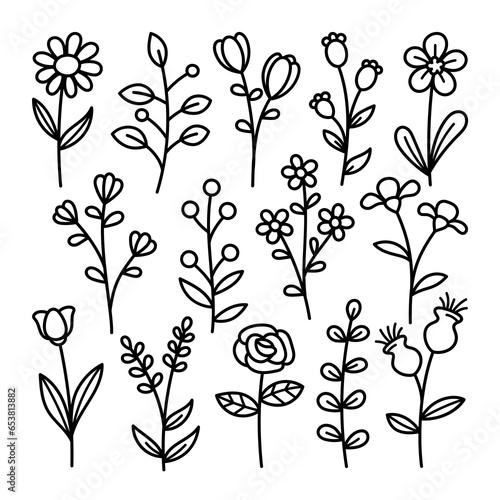 Floral Flower Handdrawn Doodle Illustration