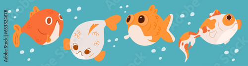 A set of cute goldfish characters. Different koi carp in cartoon style.