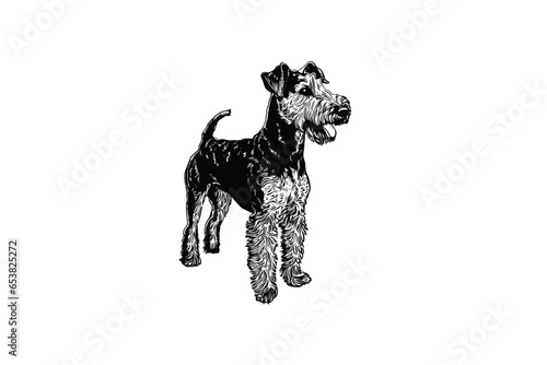 Airedale Terrier Charm: Artistic Vector Illustration for Dog Enthusiasts