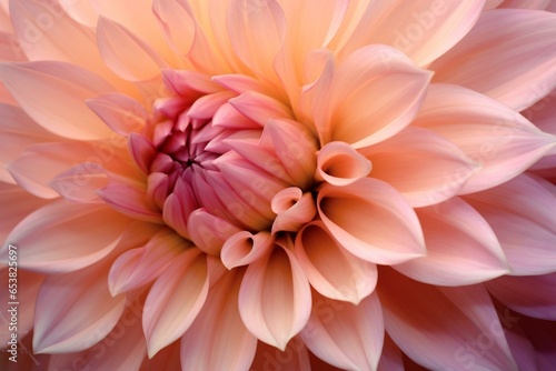 Macro image of a pink dahlia flower. Generative AI