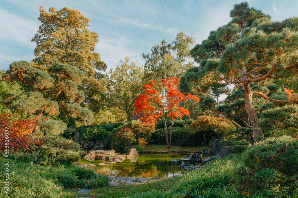Beautiful Japanese Garden and red trees at autumn seson. A burst of fall color with pond reflections. Beautiful Japanese Garden and red trees at autumn seson. A burst of fall color with pond reflections.