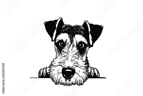 Peeking Airedale Terrier: Endearing Vector Illustration for Dog Lovers