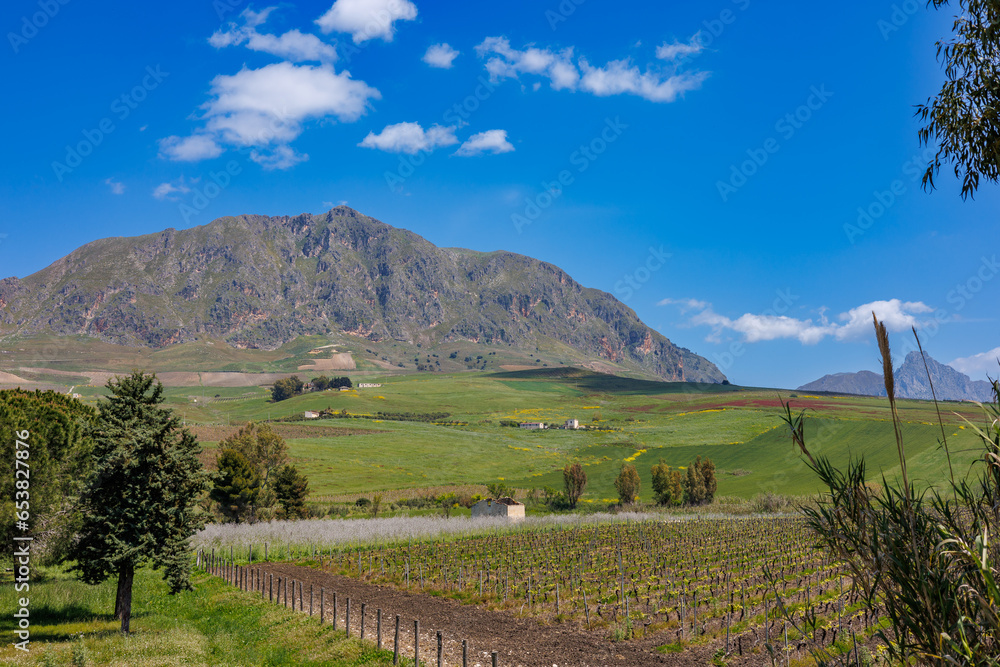Obraz premium View of the landscape between Strasatto and Ginestra, Sicily