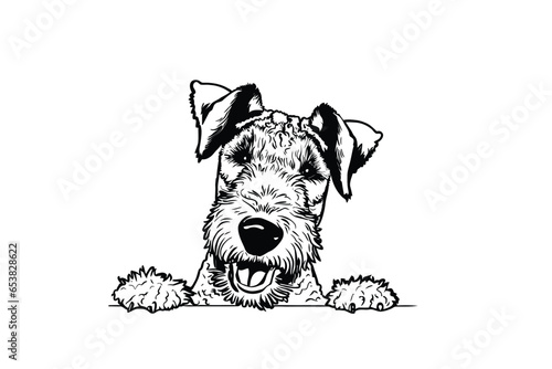 Playful Peek-A-Boo Airedale Terrier: Vector Illustration