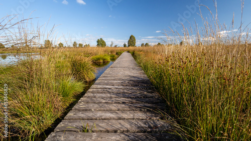 Wandern duchrs Moor photo