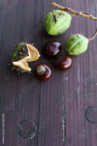 shiny fresh chestnuts on a wooden background