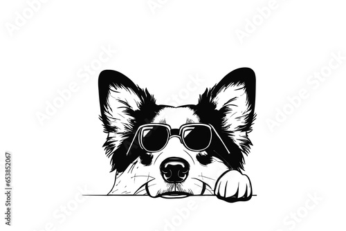 Sunglass Swagger: Australian Shepherd with Shades Vector