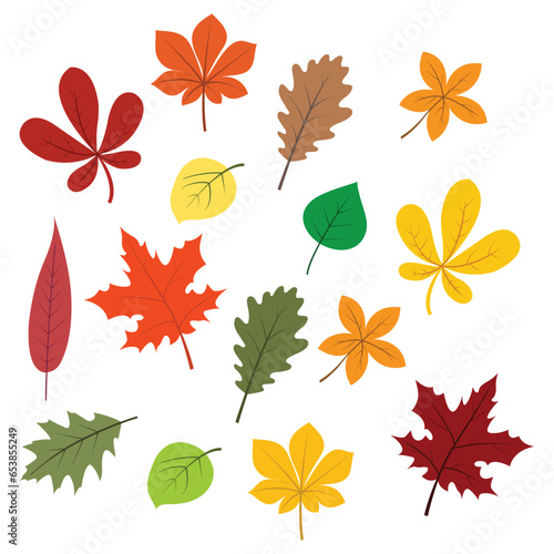 Autumn leaves 