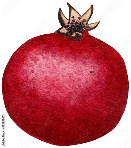 Watercolor red pomegranate fruit isolated illustration